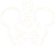 Hip Pelvis