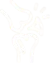 Knee Lower Leg