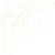 Shoulder Elbow