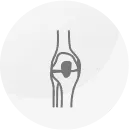Patella