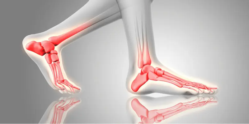 Normal Anatomy Of The Foot And Ankle - Dr. Rajеsh Malhotra