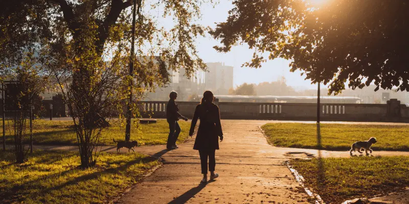 Daily Walk Essential For Maintaining The Health Of Your Joint Bones