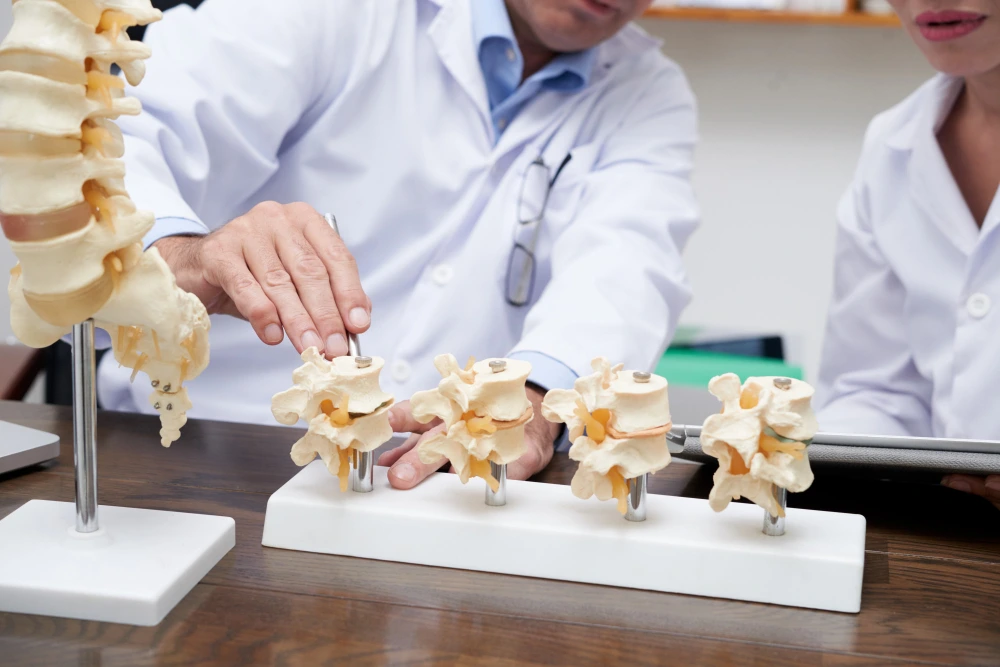Understanding The Vital Importance Of Bone Health